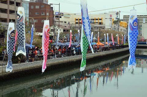 同時開催 「堺鯉・来いまつり」