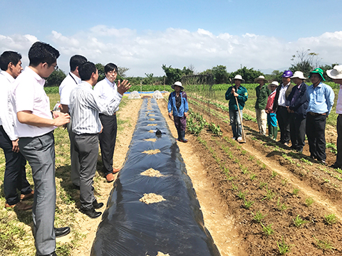 龍谷大学農学部の教授がベトナムの農業を視察