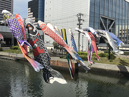 堺駅前商店会と地元町会により取り付けられた鯉のぼりが内川・土居川で元気に泳いでいる（昨年の様子）