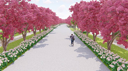 「日本の桜がベトナムを彩る」
クアンガイ省に設置される桜並木