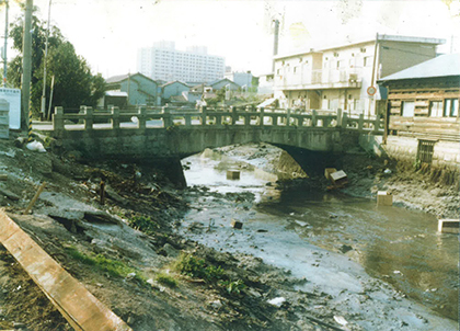 昭和50年代頃の土居川鷺橋。堺区出島1丁より見る
護岸もなくメタンガスが臭う泥川であった。
